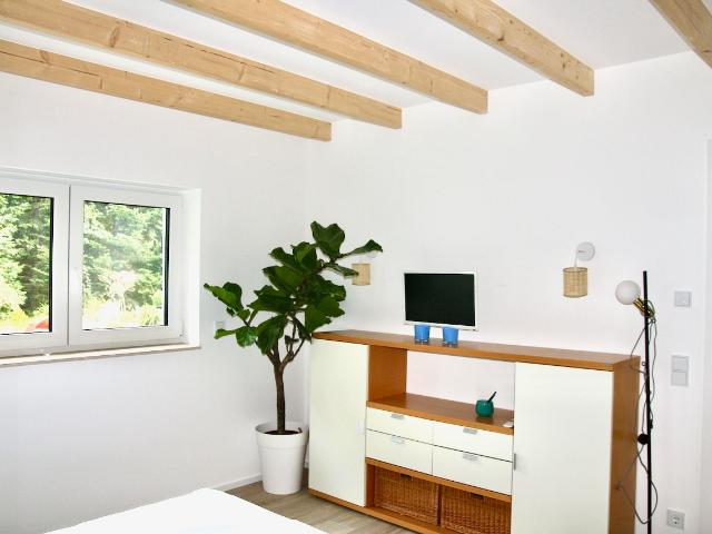 Neuss/Düsseldorf Alleinstehendes Künstleratelier im Park am Wasserfall, Neuss Amsterdam Apartments for Rent