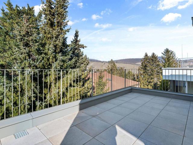 Neustift am Walde 6, 1190 Wien, 3 geschossige Wohnung mit 2 großzügigen Terrassenflächen
