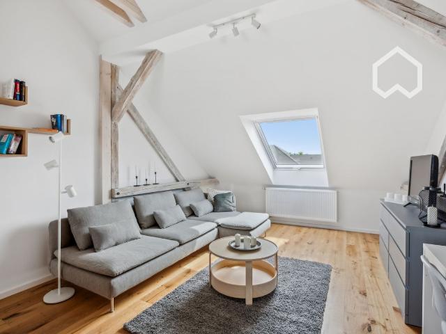 NEW*2 room terrace penthouse in Leipzig, Leipzig Amsterdam Apartments for Rent