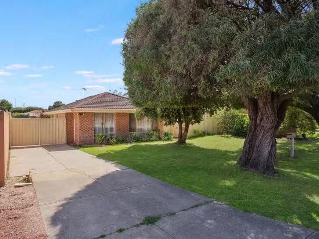 Nice 3 BR 14 Axminster Street, Warnbro, WA 6169