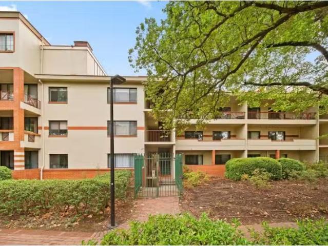 For Rent! 120/14 Boolee Street, Reid Apartment for rent Liste.