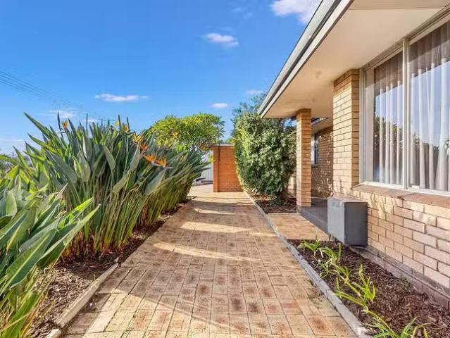 Cheap 15 Scrivener Place, Halls Head, WA 6210