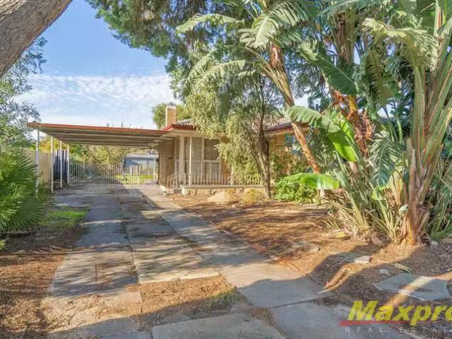 Just in! 17 Burnley Street, Thornlie, WA 6108