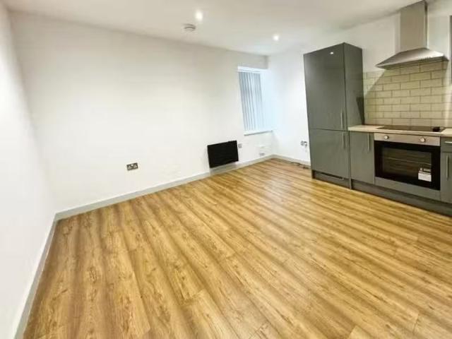Rental! 1 BA 1 bedroom flat for rent in Lower Mill Street, Kid.