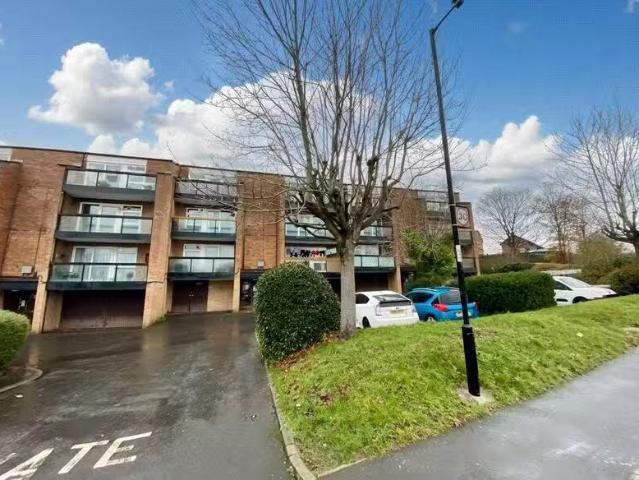 Unique 1 BA 2 bedroom apartment for rent in Stapleton, Trendle.