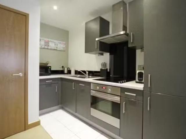 Cheap 1 bedroom apartment for rent in Victoria Mills, Salts Mi.