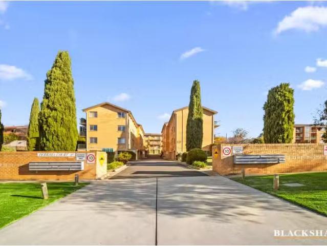 Nice 1 BR 14/85 Derrima Road, Queanbeyan Apartment for rent L.