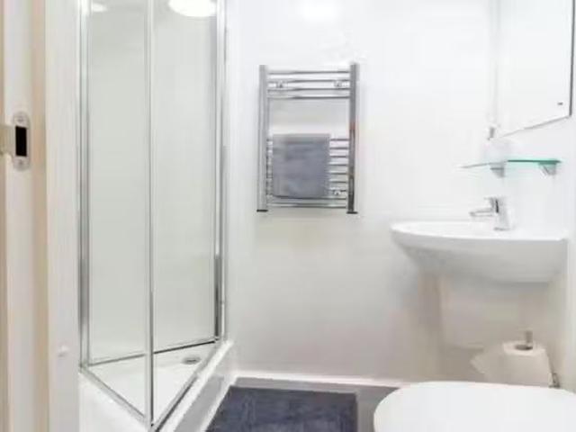Cozy 1 BR Premium Studio