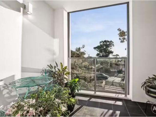 Charming 205/1 5 Pine Avenue, Little Bay Apartment for rent L.