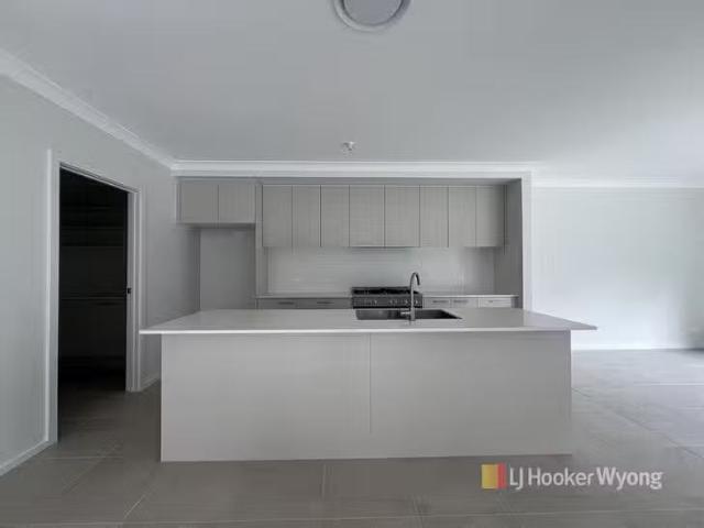 Nice 20 Galaxy Circuit, Warnervale, NSW 2259