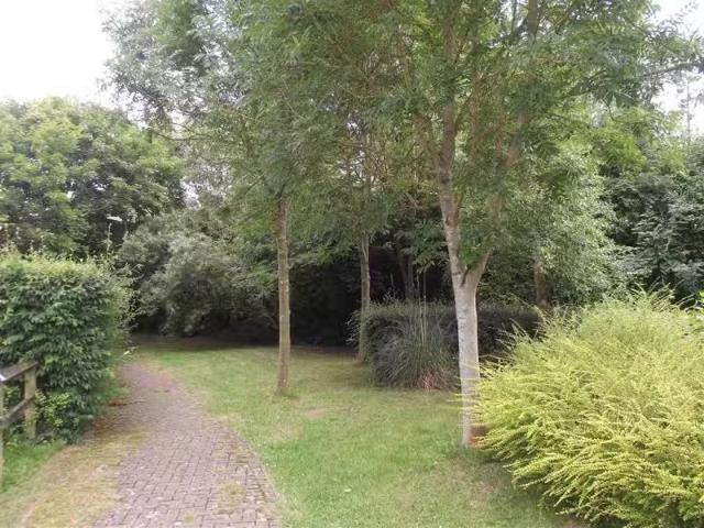 New 2 bedroom flat for rent in Elder Field, Great Notley, Brai.