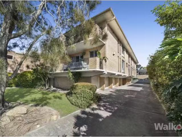 New 2 BR 158 Beaumont Street, Hamilton Apartment for rent Lis.