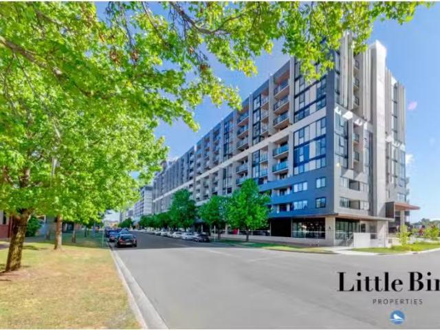 Rental! 2 BR 226/335 Anketell Street, Greenway Apartment for r.
