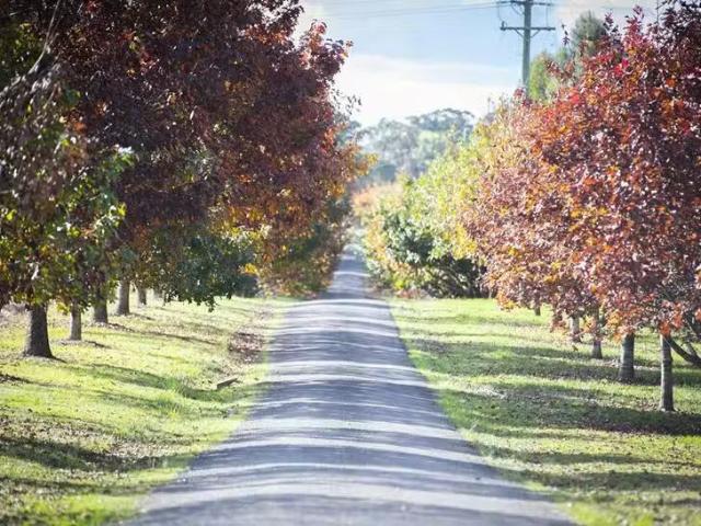 For Rent! 3053 Canyonleigh Road, Sutton Forest, NSW 2577