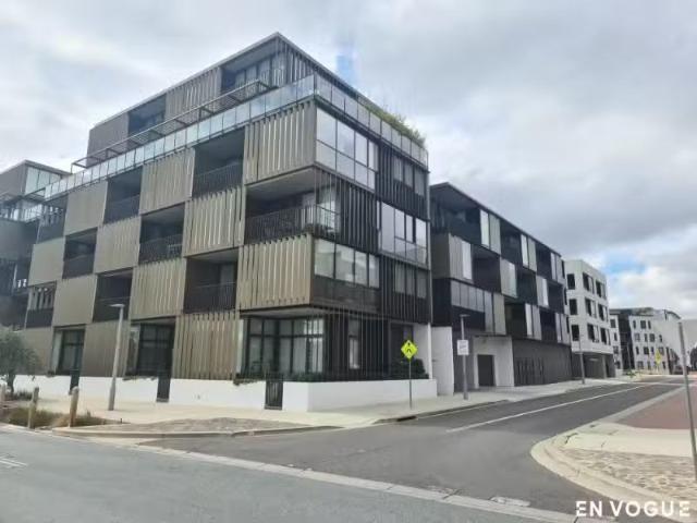 New 31/1 Kerridge Street, Kingston House for rent Listed by P.