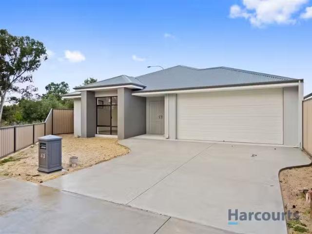 For Rent! 4 BR 43 Garganey Grove, SOUTHERN RIVER, WA 6110 Ho.