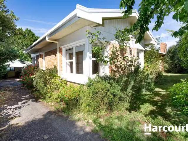 Deal! 4 BR 12 Mary, SCOTTSDALE, TAS 7260 House for Rent