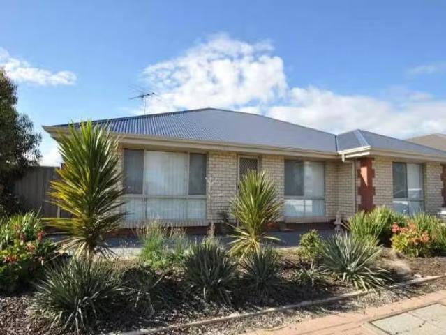 Charming 4 BR 23 Flag Street, SEAFORD MEADOWS, SA 5169 House.