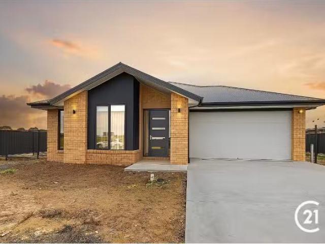 New 4 BR 36 Falcon Rise, Moama House for rent Listed by Cathy.