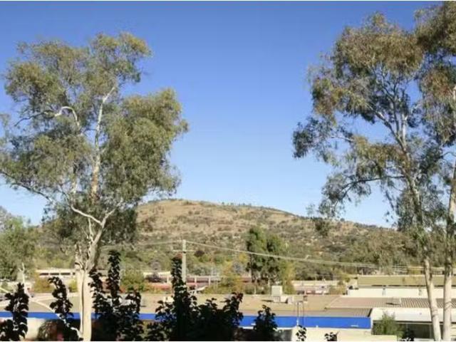 Deal! 73/4 Wilkins Street, MAWSON Apartment for rent Listed b.