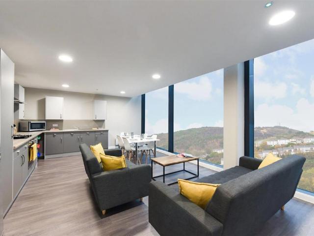 New Cut Road, Swansea SA1 1 bed in a flat share to rent £550 pcm £127 pw