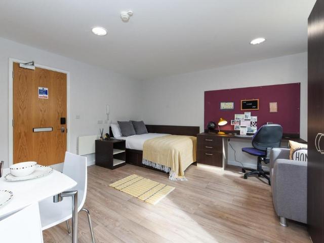 New Cut Road, Swansea SA1 Studio to rent £862 pcm £199 pw