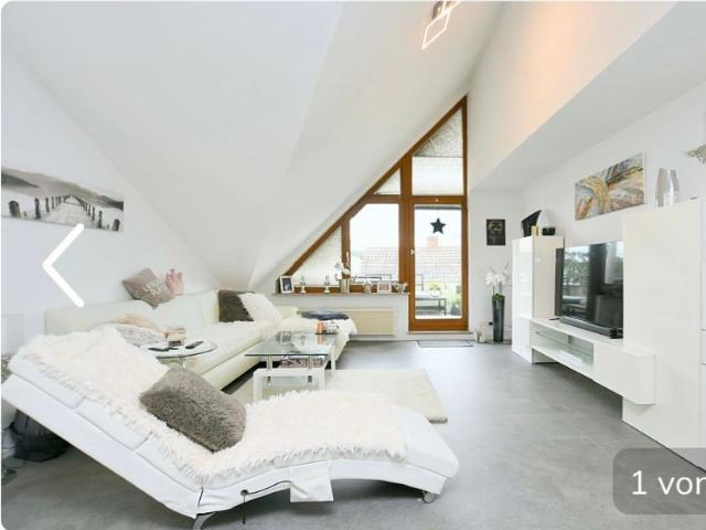 New & amazing suite