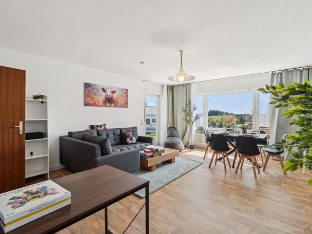 New and gorgeous apartment in Rickenbach