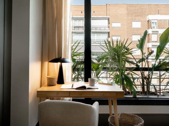 New Apartment suite conveniently located