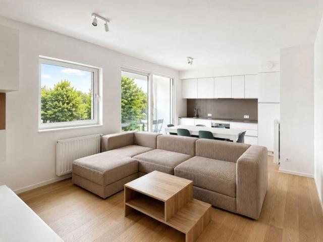 New Apartment with Terrace