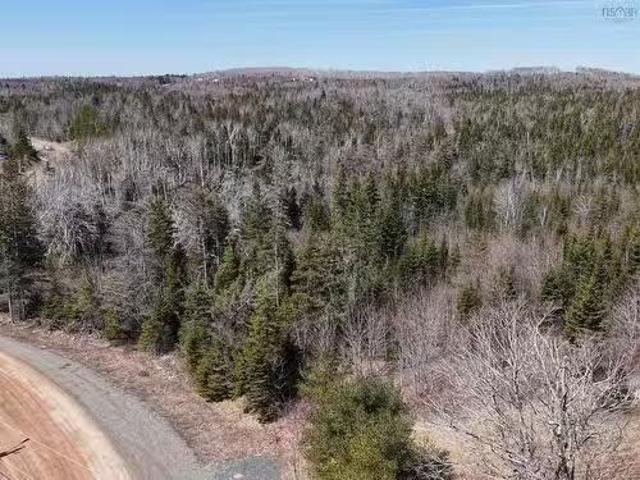 New Boston Rd, Albert Bridge, NS, B1K 2P7 vacant land for sa.
