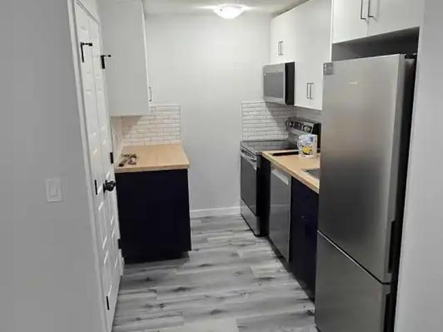 New basement 2 bedrooms 1 Bath. Kitchen and laundry