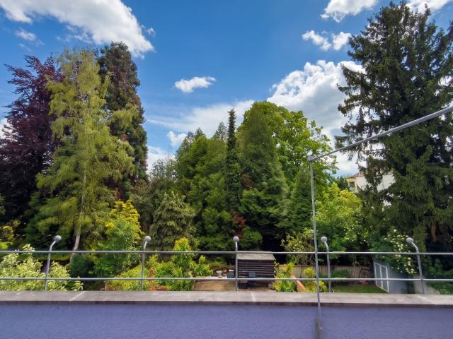New & gorgeous suite close to Rheinaue