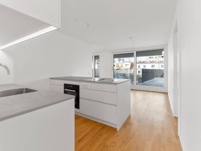 NEW+ First occupancy: Exclusive 3 room flat with terrace & panoramic views Mollardgasse 50