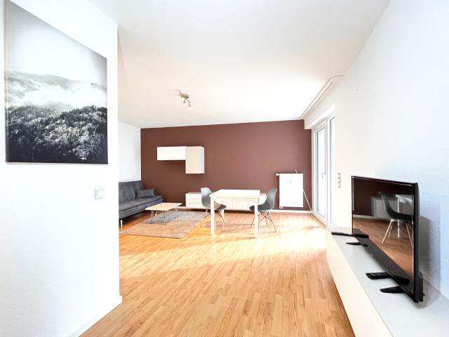 New furnished and high quality equipped apartment with balcony