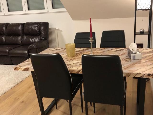 New furnished cosy apartment next to Siemens new Campus Erlangen Amsterdam Apartments for Rent