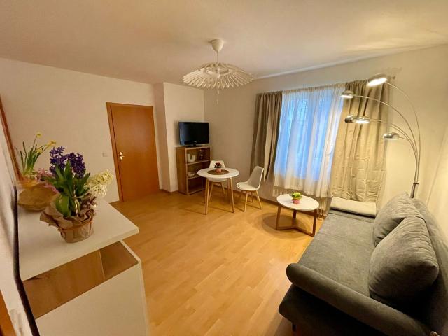 New furnished flat, Dresden Amsterdam Apartments for Rent