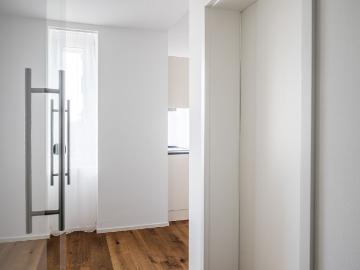 Höngg, Zürich, Kanton Zürich