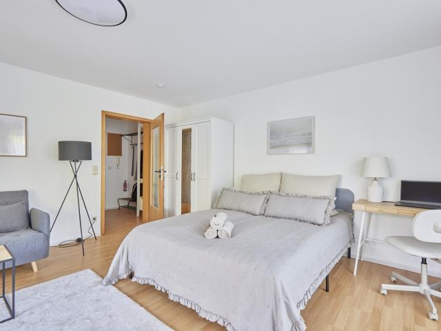 NEW Imma 1 Zimmer Wohnung im idyllischen Walldürn Glashofen
