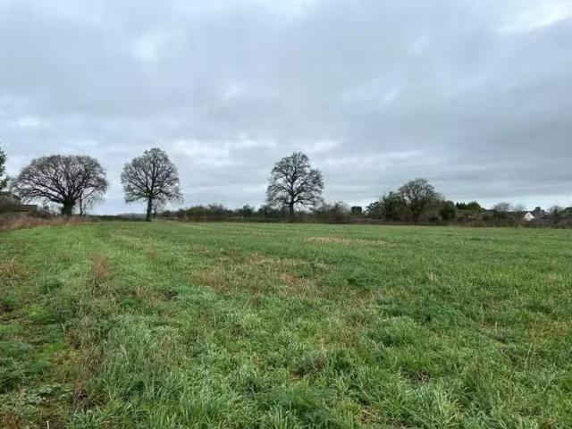 New Land for rent in Marston Magna, Yeovil, BA22