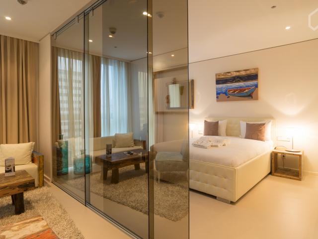 New, modern apartment in Berlin Mitte