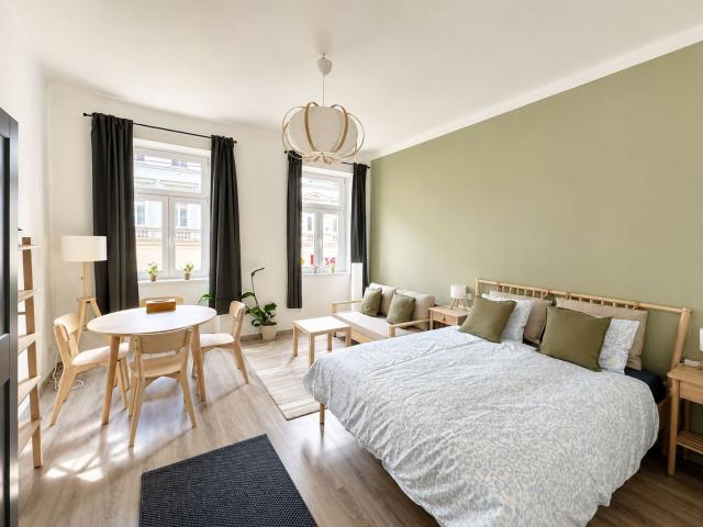 NEW! Newly renovated, fully furnished studio in Währing