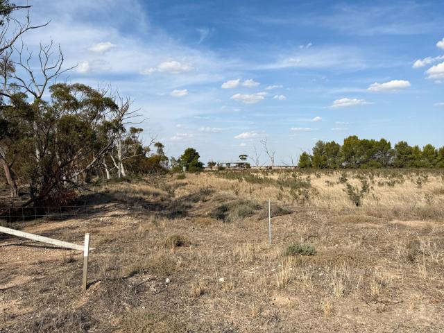 NEW PRICE AFFORDABLE Farmlet On Approximately 20 acres With Three Bedroom Country Style Comfortable Home