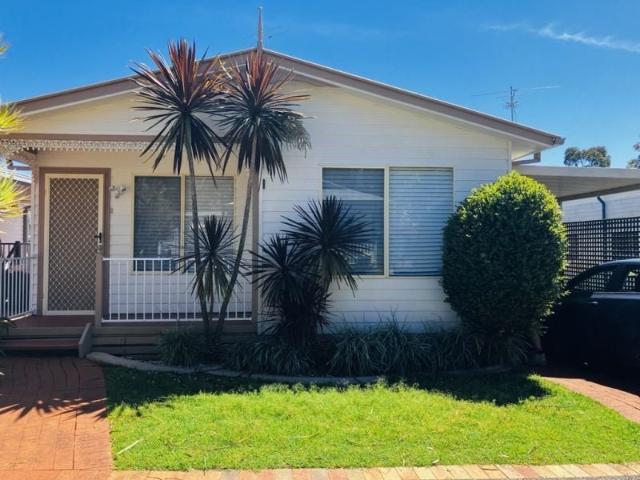 New to the Market