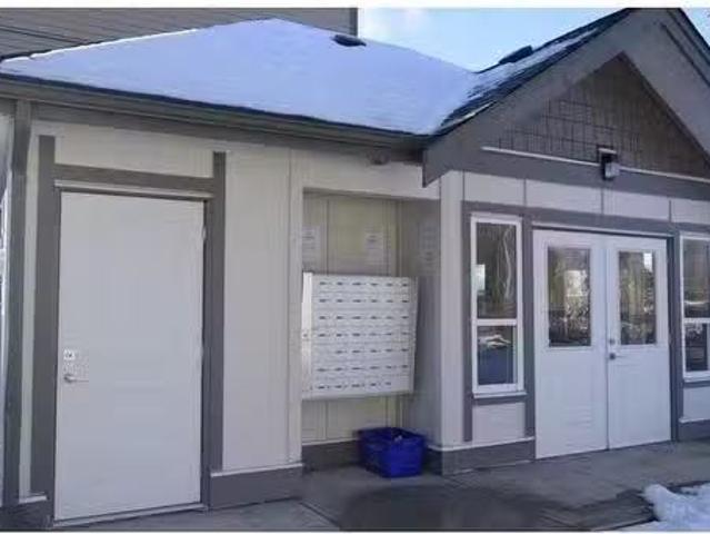 New Xx 6971 122 St, Surrey, BC, V4C 1R3 house for lease Lis.