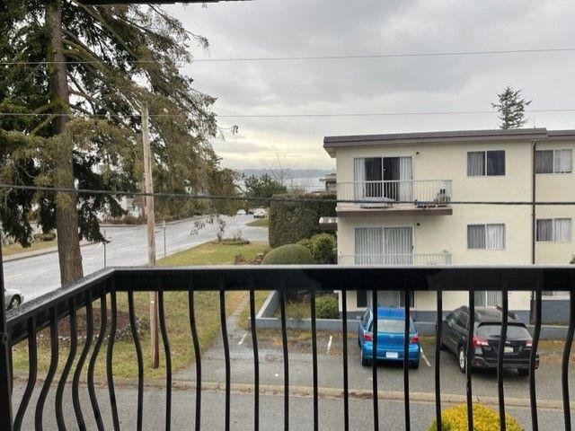 Newer Renovation 1 Bedroom Apartment