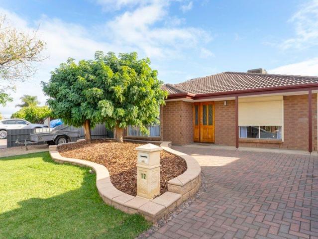 Newly updated family home