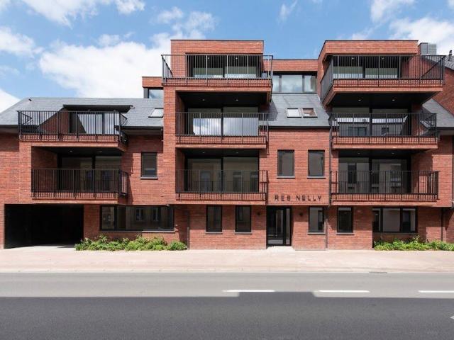 Newly built 1 bedroom apartment for rent in Veurne