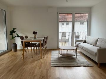 Newly built 3.5 apartment in singen center