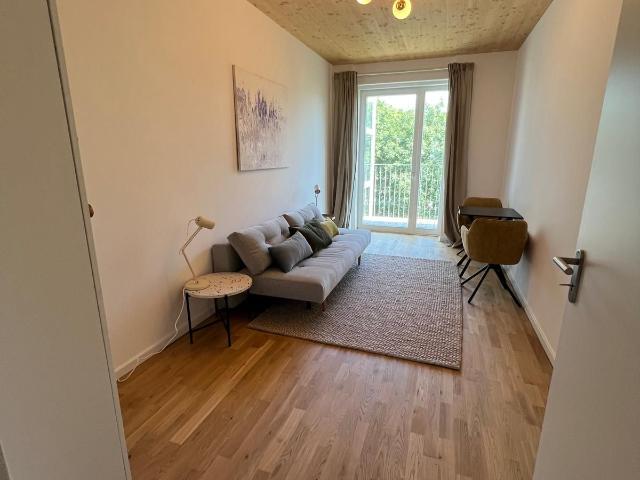 Newly built bright modern apartment with warm wood interiors and balcony